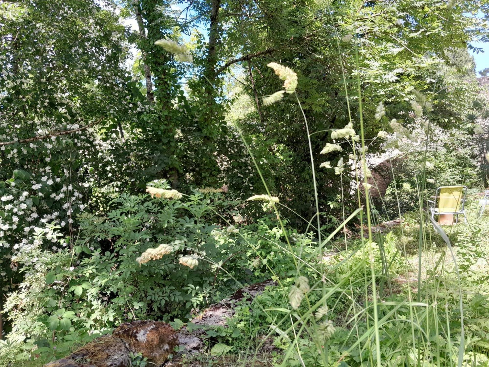 Appartement Privatif En Bord De Riviere Figeac Buitenkant foto
